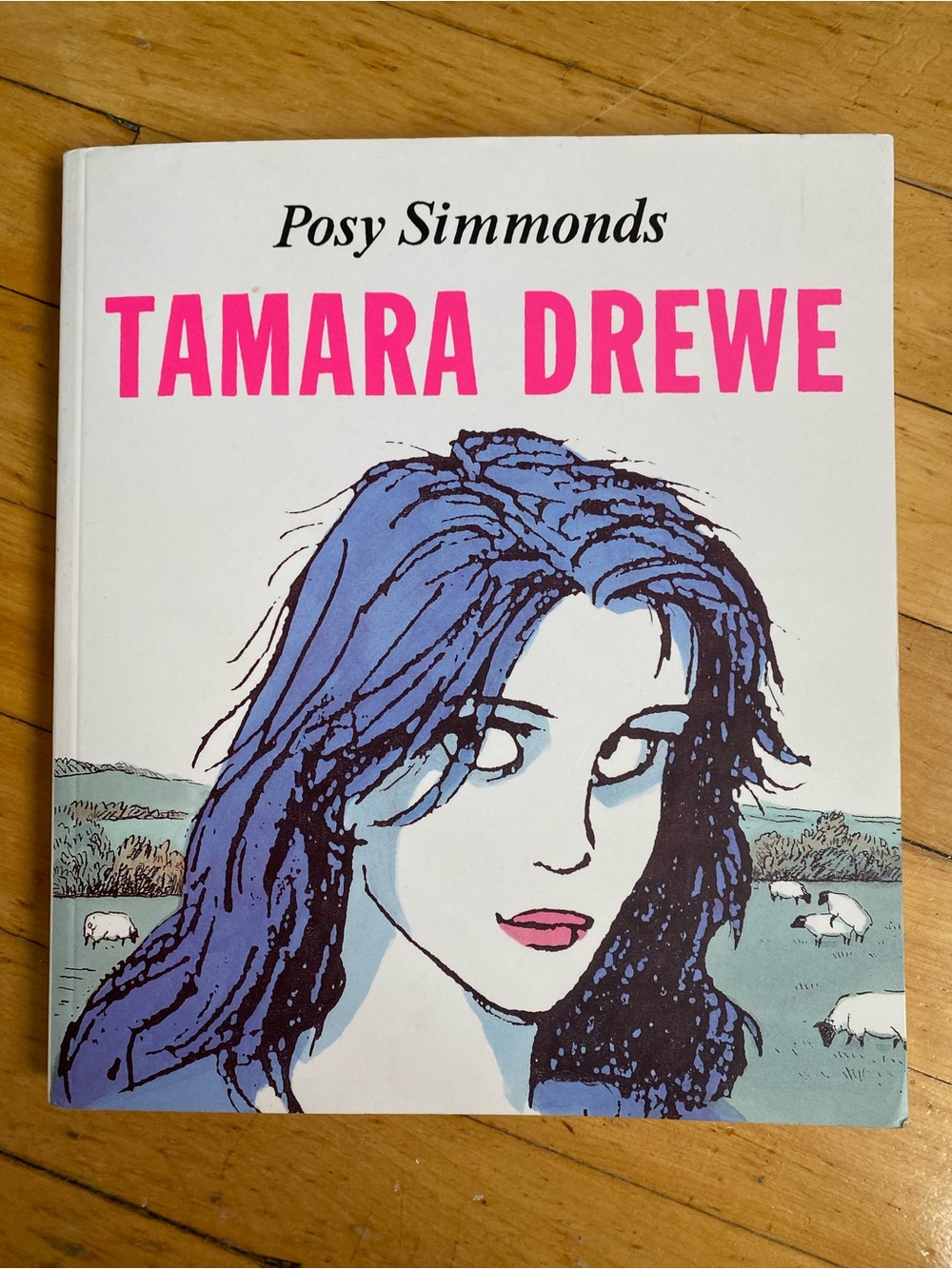`Tamara Drewe’ a Graphic Novel by Posy Simmonds